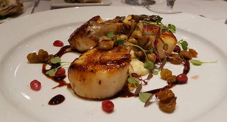 Scallops on a white plate