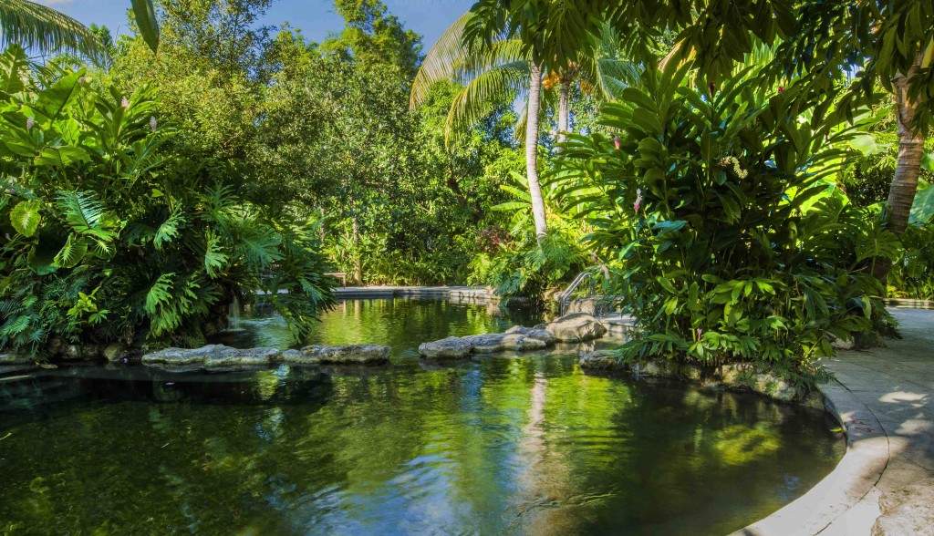 Cenote pond