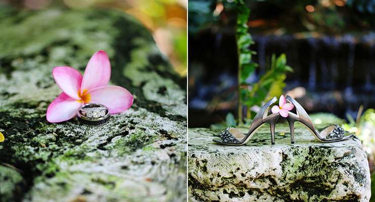 Pink flower 